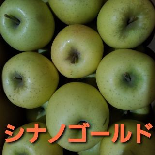 青森県産　シナノゴールド(フルーツ)