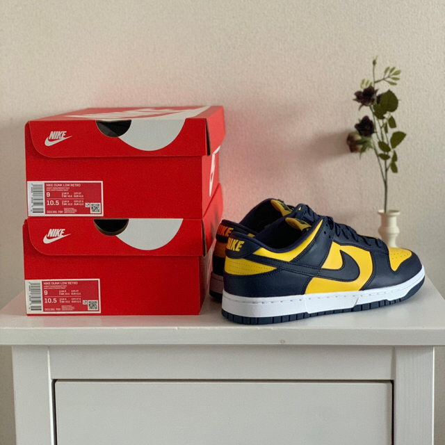 Nike Dunk Low Michigan (2021) 1