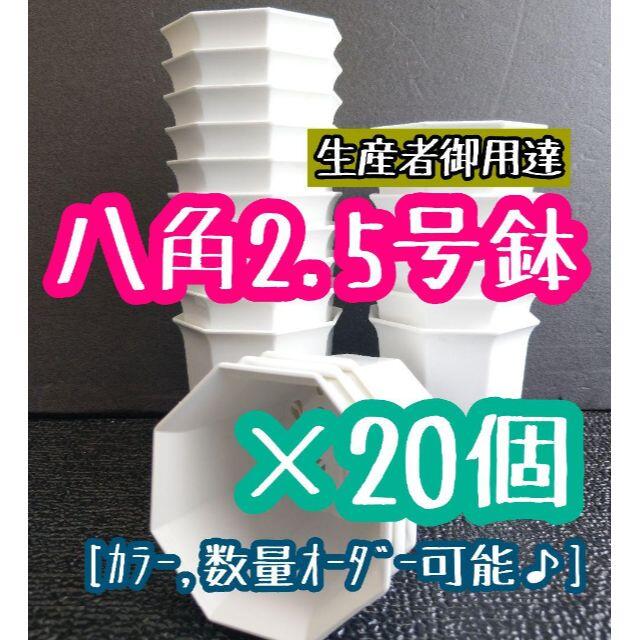 ◎20個◎八角鉢 2.5号 ブラック ホワイト 2.5寸 シャトル鉢  ハンドメイドのフラワー/ガーデン(プランター)の商品写真