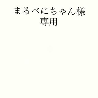 ■まるべにちゃん様専用■(その他)