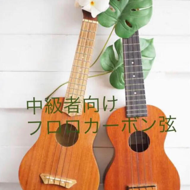 ウクレレ弦 フロロカーボン 日本製 中級者様限定　1台分 楽器のウクレレ(その他)の商品写真