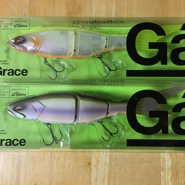 Galapagos Grace  240F  琵琶湖SPEC＋オムライスシャッド