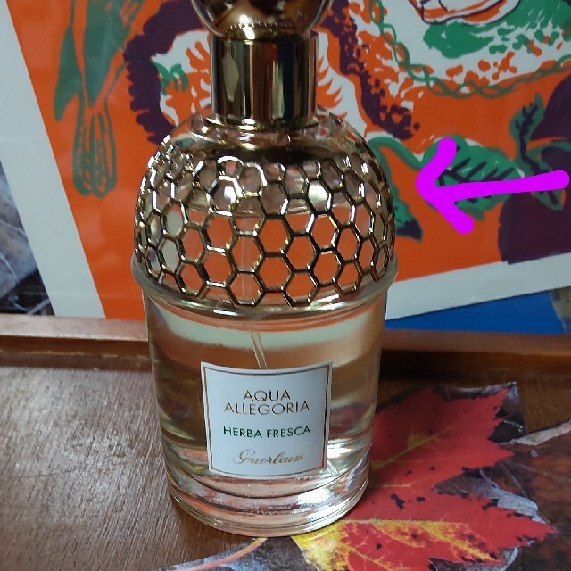 GUERLAIN(ゲラン)のゲラン  アクアアレゴリア  ハーバ フレスカ コスメ/美容の香水(香水(女性用))の商品写真