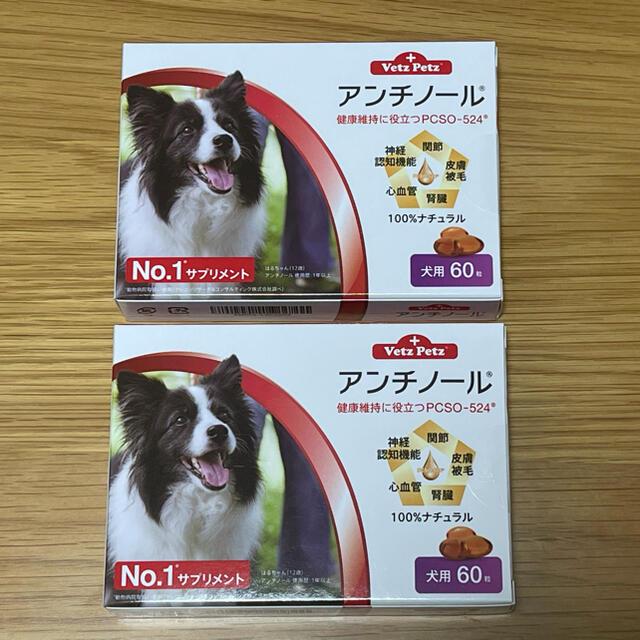 ペット用品犬用アンチノール60粒入り新品未開封4箱