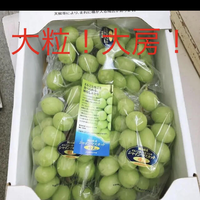 大粒❗️大房❗️ 岡山県産 晴王 シャインマスカット - フルーツ