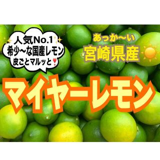 【希少な国産レモン】マイヤーレモン2㎏（送料込み）/レモン　みかん　蜜柑　果物(フルーツ)