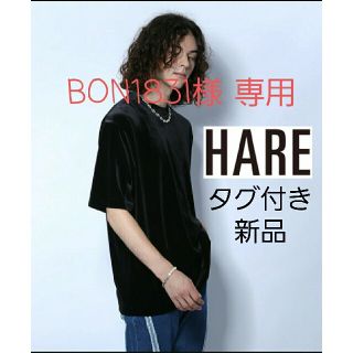 ハレ(HARE)のHARE ベロアカットソー 新品(Tシャツ/カットソー(半袖/袖なし))