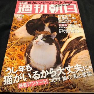 アサヒシンブンシュッパン(朝日新聞出版)の週刊朝日 2020年 12/18号(趣味/スポーツ)