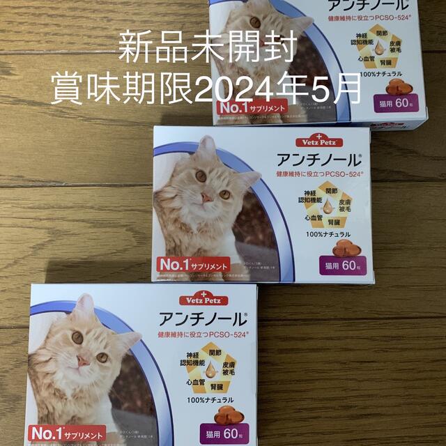 アンチノール猫用60粒3ケース