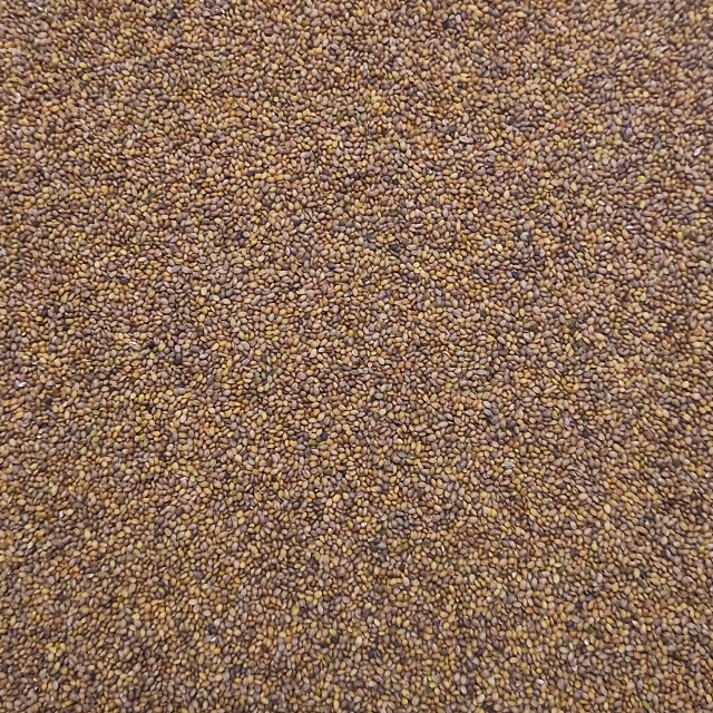 ベビーリーフ種子 B-30 ルッコラ（セルバティカ）0.25ml約800粒x2袋 食品/飲料/酒の食品(野菜)の商品写真