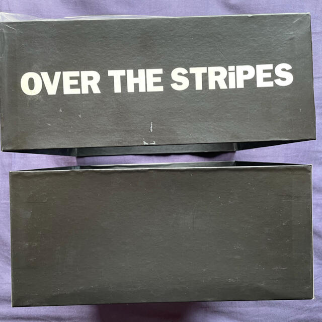 OVER THE STRIPES(オーバーザストライプス)のオーバーザストライプス　Tシャツとギズモ人形セット　レア品❗️ エンタメ/ホビーのおもちゃ/ぬいぐるみ(ぬいぐるみ)の商品写真