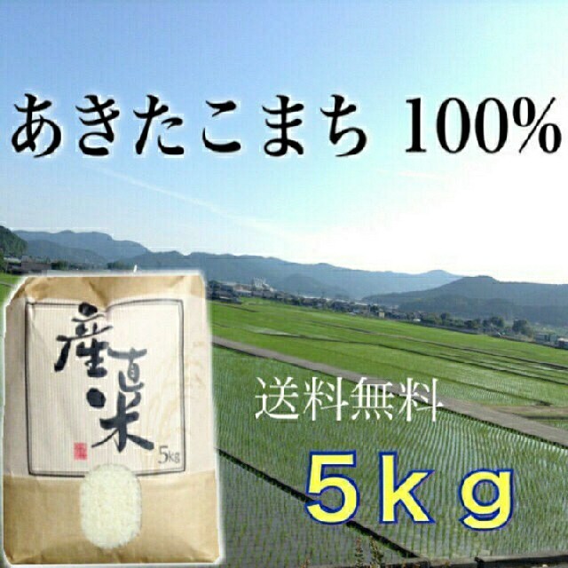 【M♡様専用】愛媛県産あきたこまち１００％　新米５Kg　農家直送 食品/飲料/酒の食品(米/穀物)の商品写真