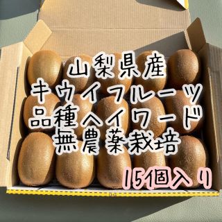 山梨県産　無農薬　キウイフルーツ　ヘイワード　15個入り(フルーツ)