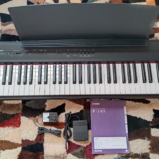スタンダードの通販 90点(楽器) | お得な新品・中古・未使用品の
