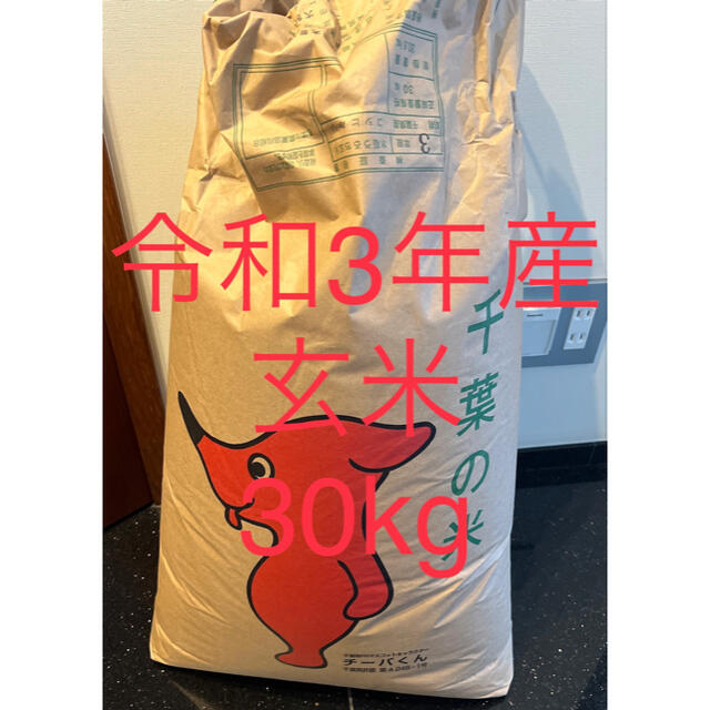 令和3年　千葉県産　玄米　30kg食品/飲料/酒