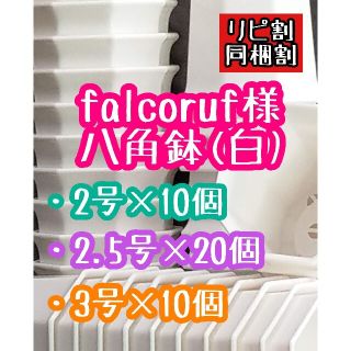 falcoruf様 八角鉢(プランター)