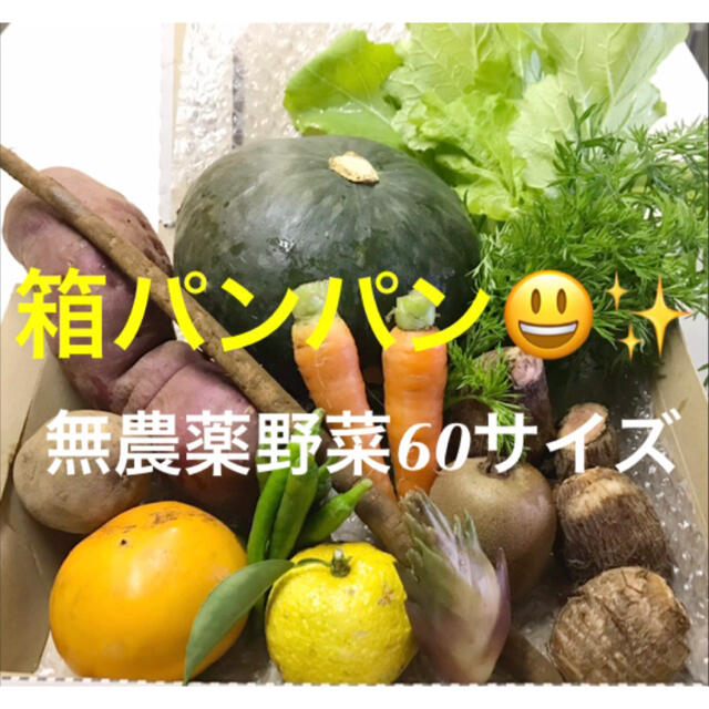 今日採りたて野菜を60サイズ一杯にします 無農薬 食品/飲料/酒の食品(野菜)の商品写真