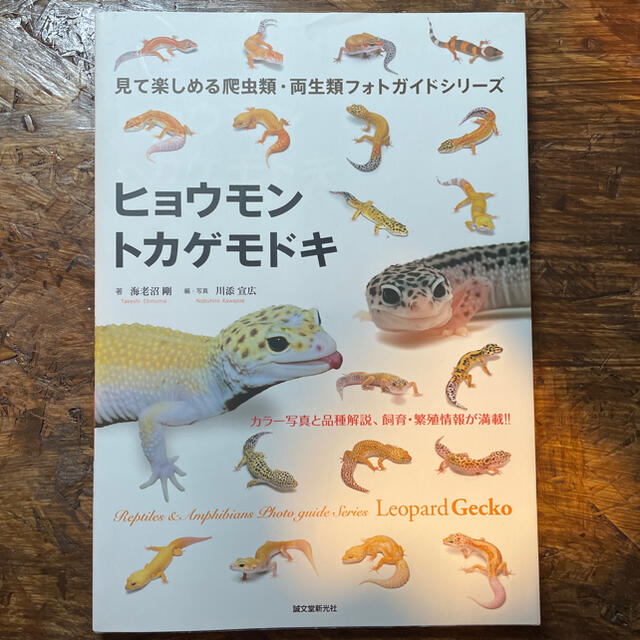 ヒョウモントカゲモドキ エンタメ/ホビーの本(住まい/暮らし/子育て)の商品写真