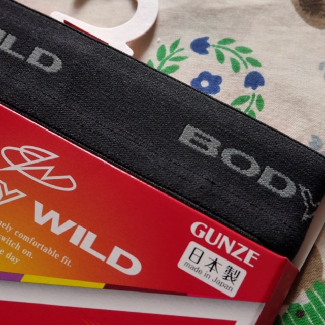 GUNZE(グンゼ)のボクサーパンツ　BODYWILD グンゼ  ホットマジック　２枚　ボーダー柄 メンズのアンダーウェア(ボクサーパンツ)の商品写真