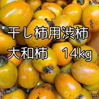 格安　徳島県産　干し柿　大和柿　14kg(フルーツ)