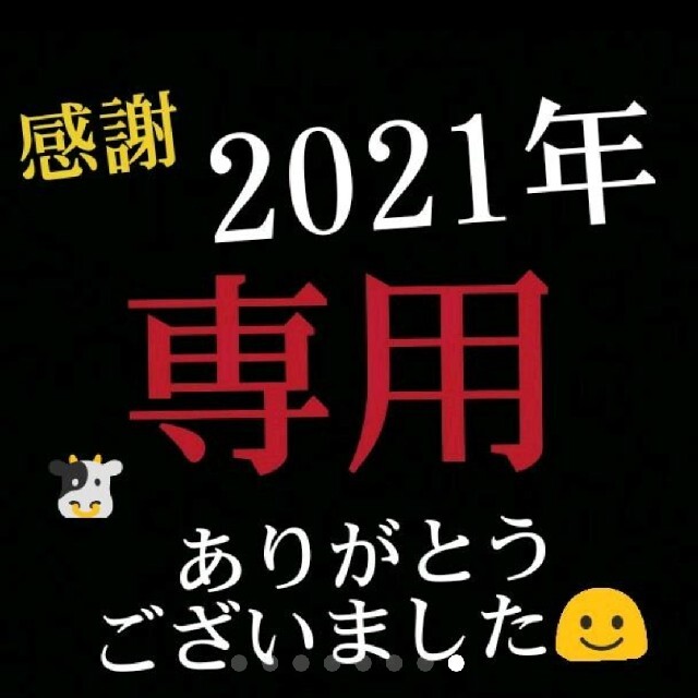 輝く高品質な シトロン様専用 casadedavid.org.br