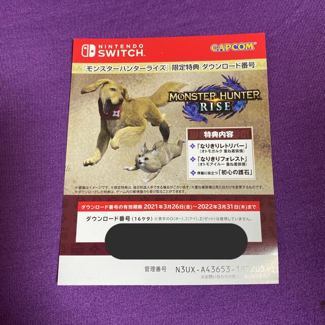 モンスターハンターライズ Switch 2