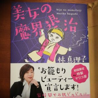 美女の魔界退治(文学/小説)