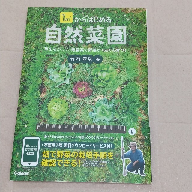 １ｍ２からはじめる自然菜園 草を活かして、無農薬で野菜がぐんぐん育つ！ エンタメ/ホビーの本(趣味/スポーツ/実用)の商品写真