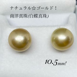 華やかゴールドカラー☆テリも非常によし！K18南洋真珠10.5mmピアス！(ピアス)