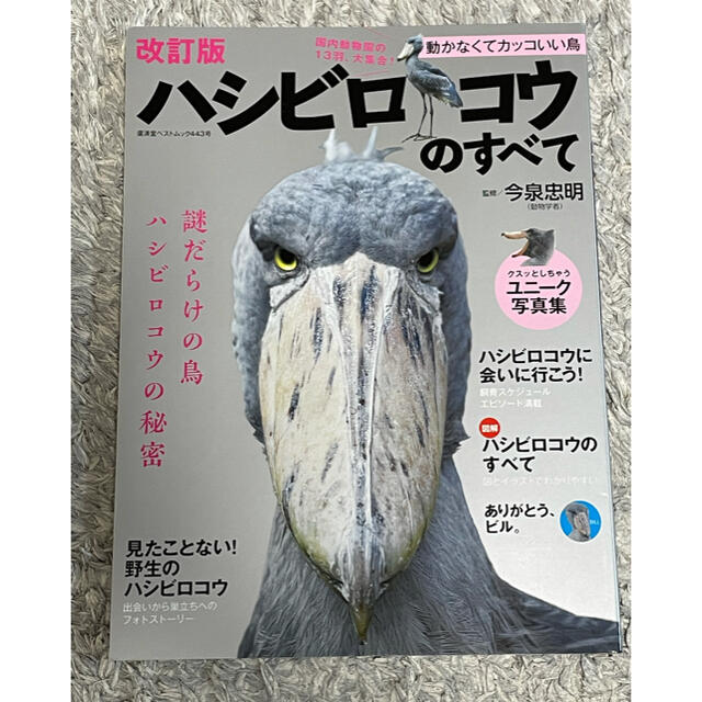 あばち様専用　ハシビロコウのすべて エンタメ/ホビーの本(アート/エンタメ)の商品写真