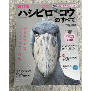 あばち様専用　ハシビロコウのすべて(アート/エンタメ)