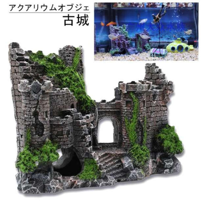 アクアリウムオブジェ 古城 ジオラマ 装飾 廃墟 置物 オーナメント 隠れ家の通販 By Mig 土日祝休み プロフ必読です ラクマ アクアリウムオブジェ 古城 ジオラマ 装飾 廃墟 置物 オーナメント 隠れ家の通販 By Mig 土日祝休み プロフ必読です ラクマ