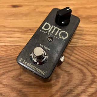 TC Electronic Ditto Looper ルーパー(エフェクター)