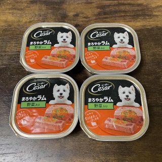 【未開封】シーザー Cesar まろやかラム 野菜入り 100g 4個セット(ペットフード)