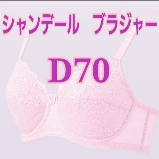 シャンデール ブラ D70 新品未使用