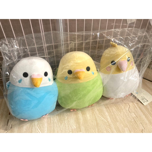 しまむら(シマムラ)のインコ　抱き枕　しまむら　セキセイインコ その他のペット用品(鳥)の商品写真