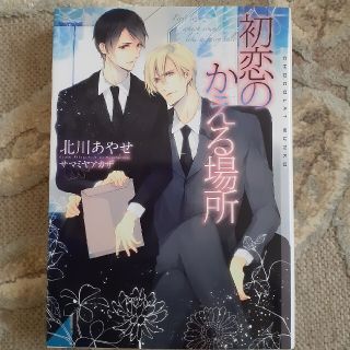 初恋のかえる場所(文学/小説)