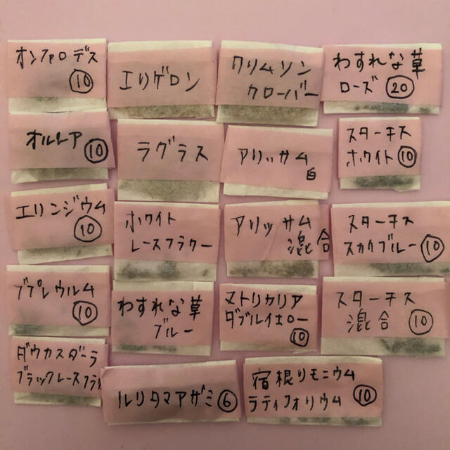 日本初の 種 花たね マトリカリア ダブルイエロー 1袋 40粒 タキイ種苗 草花 種子 コレオプシス・ダブル ザ サン