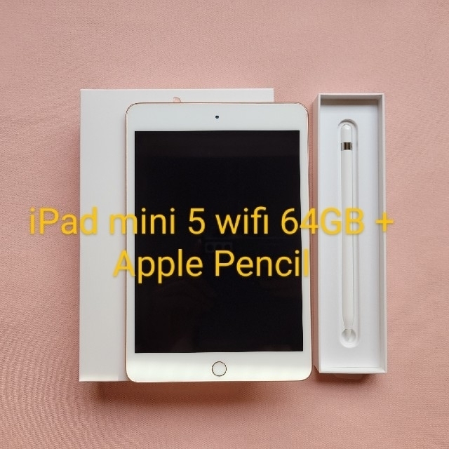 iPad mini 5 wifi 64GB + Apple Pencil