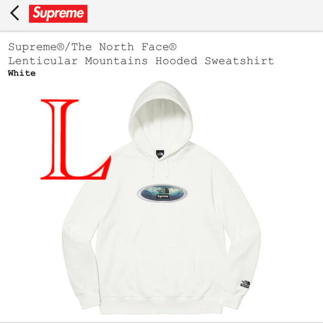 supreme the northface Hooded sweatshirt