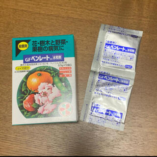 住友化学園芸 殺菌剤 GFベンレート水和剤 0.5g×2 (その他)