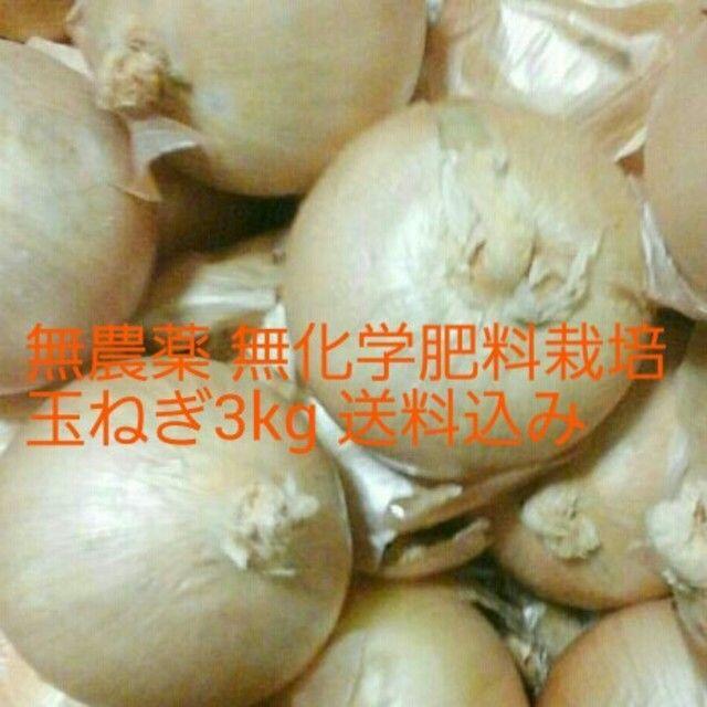 大山山麓 栽培期間中農薬化学肥料不使用栽培玉葱3kg【送料込】 食品/飲料/酒の食品(野菜)の商品写真