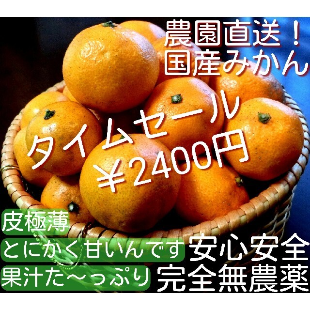 農園直送　早生　めちゃ甘ジューシ　皮極薄　完全無農薬　国産みかん　無農薬みかん 食品/飲料/酒の食品(フルーツ)の商品写真