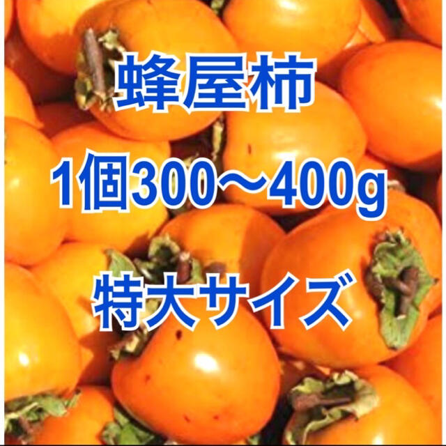 蜂屋柿 ◆特大サイズ 大人気商品!◆ 渋柿 干し柿 T字加工済み 食品/飲料/酒の食品(フルーツ)の商品写真