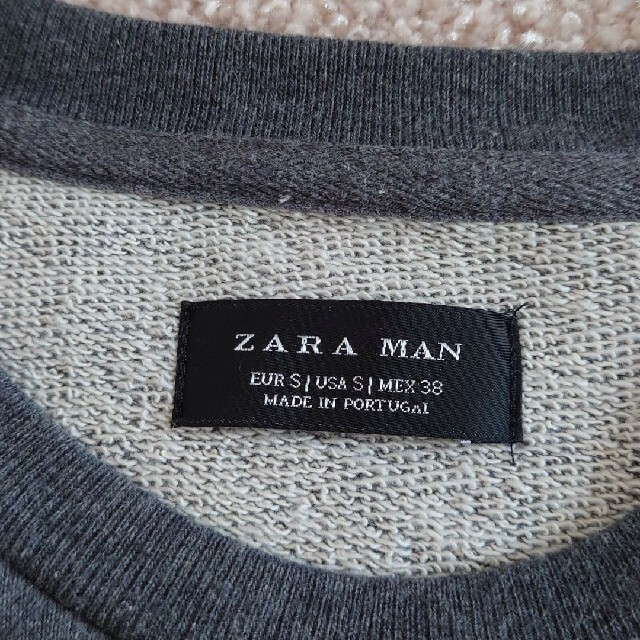 ZARA(ザラ)の【ともやん様専用】ZARA MAN ザラマン　グレースウェット　ライオン　蛇 メンズのトップス(スウェット)の商品写真