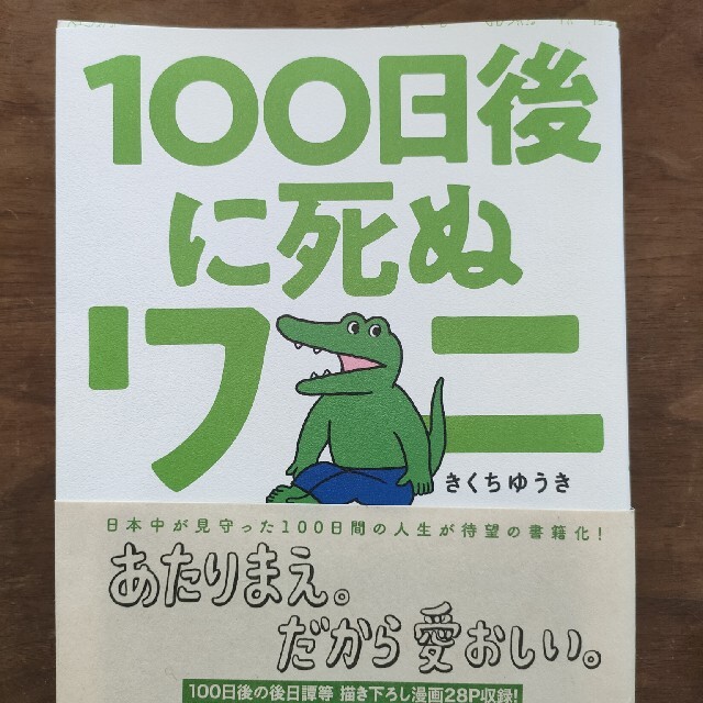 １００日後に死ぬワニ エンタメ/ホビーの漫画(その他)の商品写真