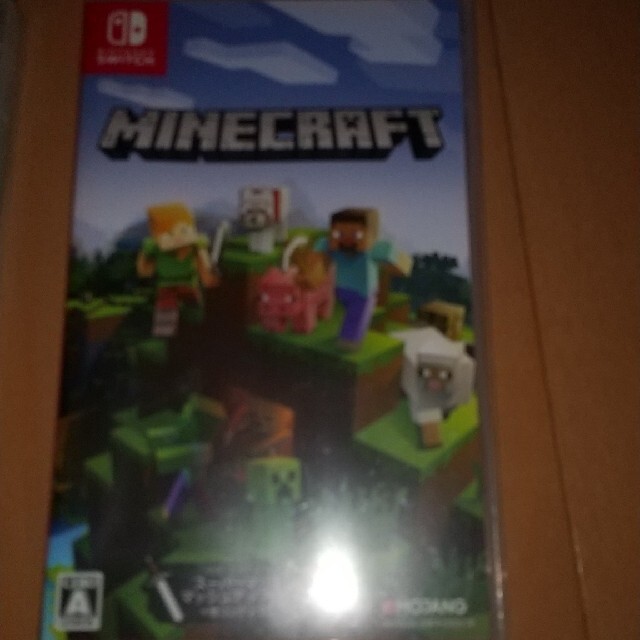 Minecraft Switch