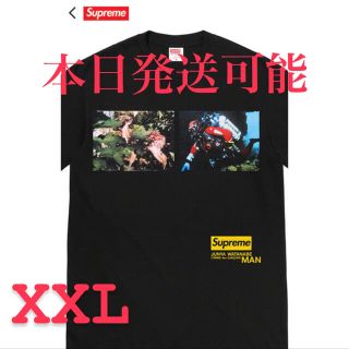 Supreme/JUNYA WATANABE  Nature Tee (Tシャツ/カットソー(半袖/袖なし))