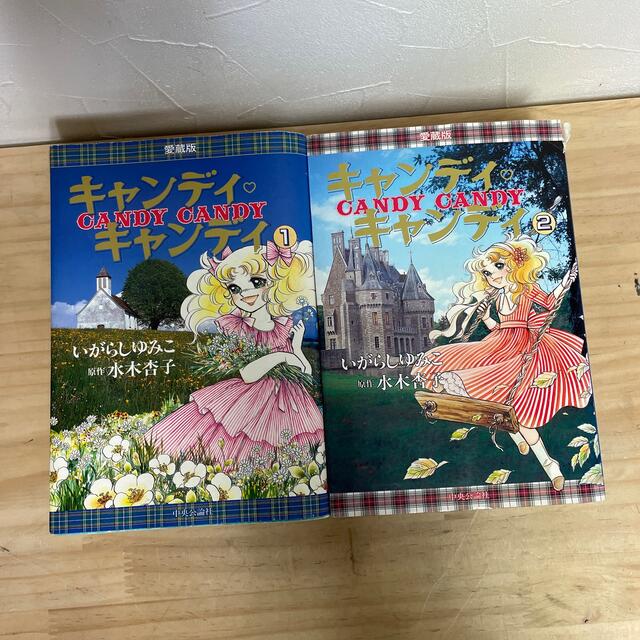 「キャンディキャンディ」愛蔵版2巻セット