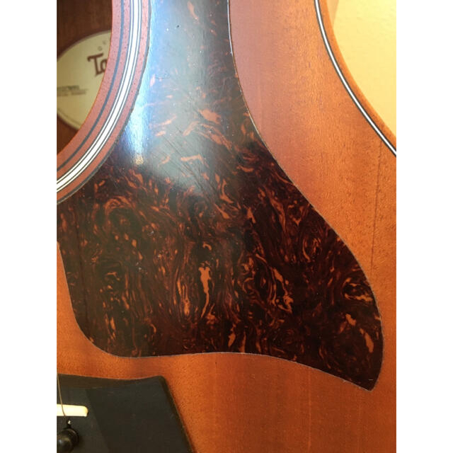 Taylor GS mini Mahogany